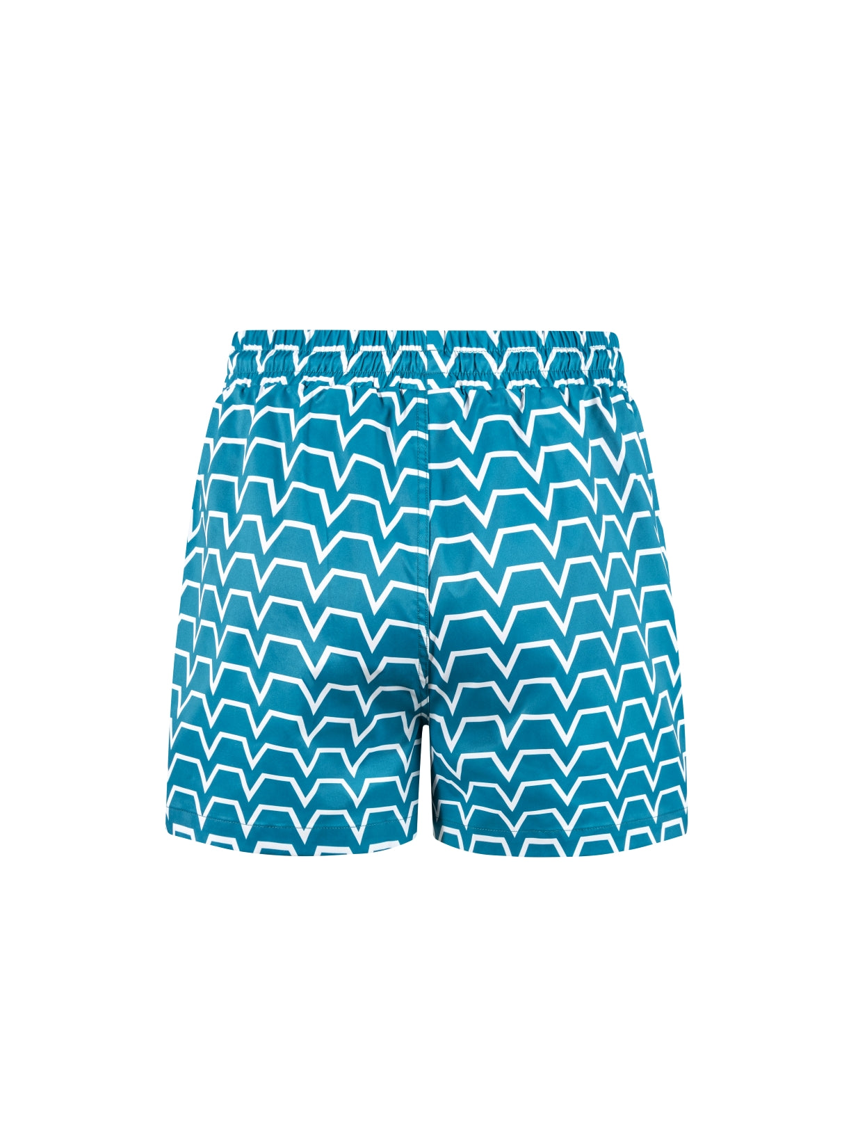 Chevron Swim Shorts